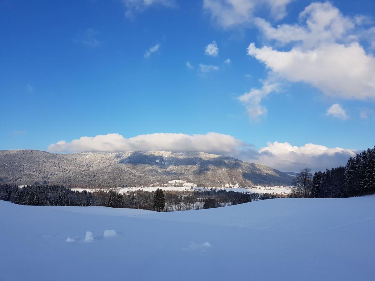 Ferienhaus Chiemgauer Auszeit- Chiemgaukarte Inclusive Зигсдорф Экстерьер фото