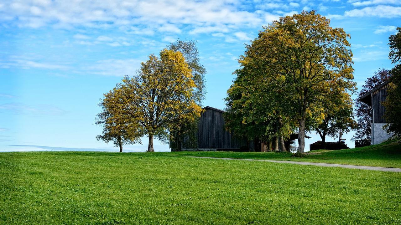 Ferienhaus Chiemgauer Auszeit- Chiemgaukarte Inclusive Зигсдорф Экстерьер фото